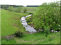 Delf Burn upstream of Rothbury Railway