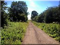 The Avenue near Astley Green