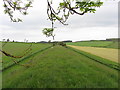 Dismantled Rothbury Railway west of Rothley Crags