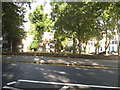 Flats and houses on Highbury New Park