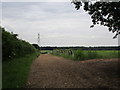 Gallops near Babworth