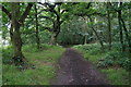 Path in Brumby Wood, Scunthorpe