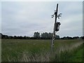 Leaning power cable column on Coal Shore Lane