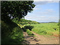 Approaching Saundby Park Farm