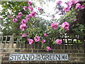 TQ1977 : Old road name sign with roses, Strand on the Green by David Howard