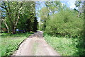 Footpath near Gunbarn Crossing