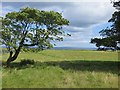 Field above Castlerock