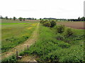 Ditch and flower-rich headlands south of Wannie Line