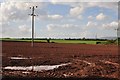 Taunton Deane District : Ploughed Field