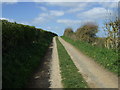 Doles Lane near Mowlands Farm