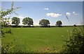 Field at Doddycross