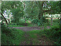 Footpath off Doles Lane