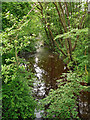 NY5377 : The River Black Lyne at Blackpool Gate by Rose and Trev Clough
