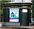 The Public Toilet at Putney Heath Bus Terminus