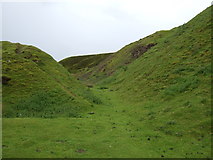 SE7294 : Hillside grazing, Bank Top by JThomas