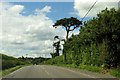 Thame Road to Long Crendon