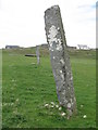 NR3694 : Standing stones at Kilchattan by M J Richardson