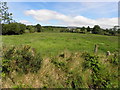 Claghernagh Townland