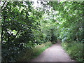 The Thames Path near Kew