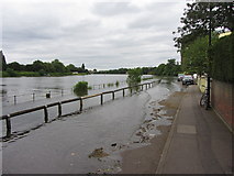 TQ2076 : The Thames breaking its banks at Mortlake by Gareth James