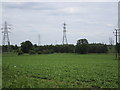 Pylons and trees