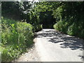 Downhill lane in the sun and shade