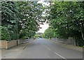 Sherwood Vale: the parapets of Bridge No 11