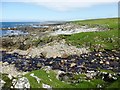 Shoreline of Knock Hanga and Allt Fisgro burn