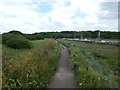 Path to near Colchester