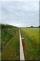 Poppy lined footpath