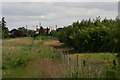 Footpath past the plant nursery: Elmhirst Lane to Elmhirst Lane