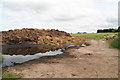 Muck heap and seepage pool off Elmhirst Lane