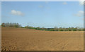 Farmland near Langwith