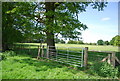 Footpath through the gate