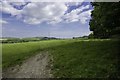 Grazing fields by Glen