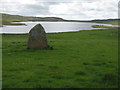 NR3968 : Standing stone at Finlaggan by M J Richardson