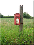TF9905 : George V postbox on High Common by Evelyn Simak