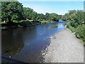 NY1130 : River Derwent Cockermouth by Steve  Fareham