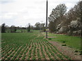 Fields near Little Postling Farm