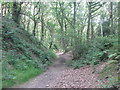 Footpath from Fall Head towards Pot House Bridge