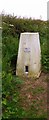 Trig Point on Potato Hill @197m asl