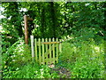 Footpath gate into woodland strip