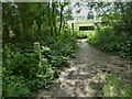 Footpath goes south from byway at Bin Wood