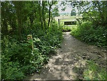 SU8949 : Footpath goes south from byway at Bin Wood by Shazz