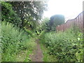 Footpath towards Bull Haw Lane