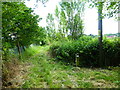 Footpath looking south from path junction