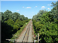 Southminster branch east of Woodham Ferrers