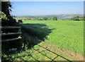 Crop near Elm Gate