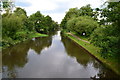 River Wey Navigation below New Haw Lock