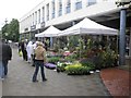 Flower stall, Crawley shopping centre